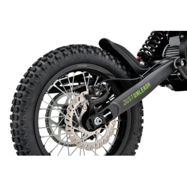 Rawr E Bike