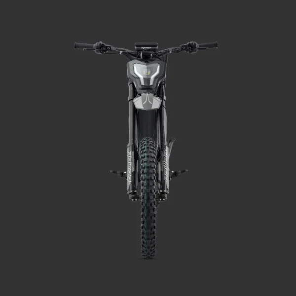 Rawrr E Bike